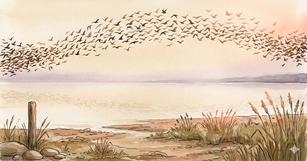 From Vibe Coding to Agentic Engineering: What the $285B SaaSpocalypse Means for How We Build Software